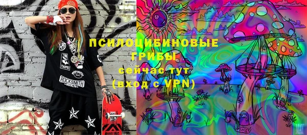 Альфа ПВП Алексин