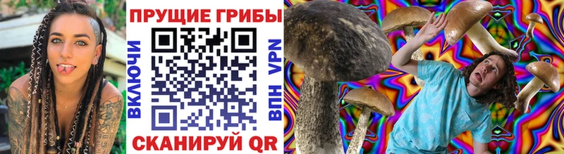 Псилоцибиновые грибы MAGIC MUSHROOMS  Новошахтинск 
