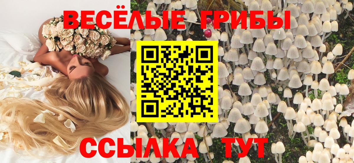 Новошахтинск  Галлюциногенные грибы прущие грибы  Вход с VPN 